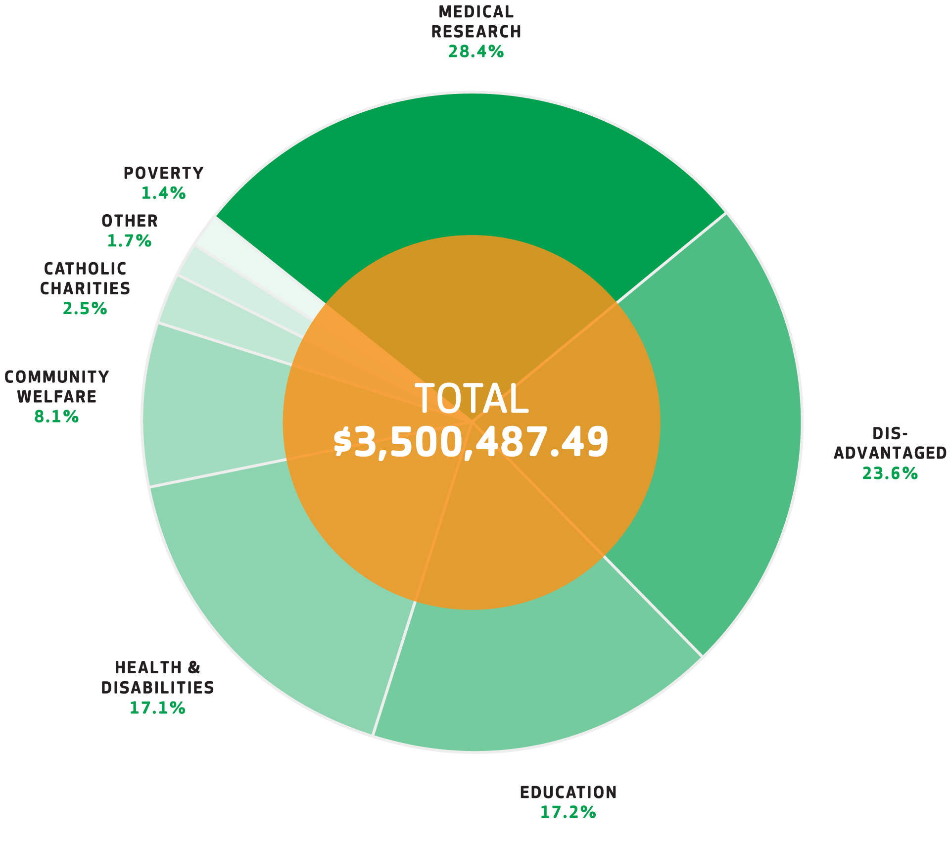 Donations Graph 2018-2019