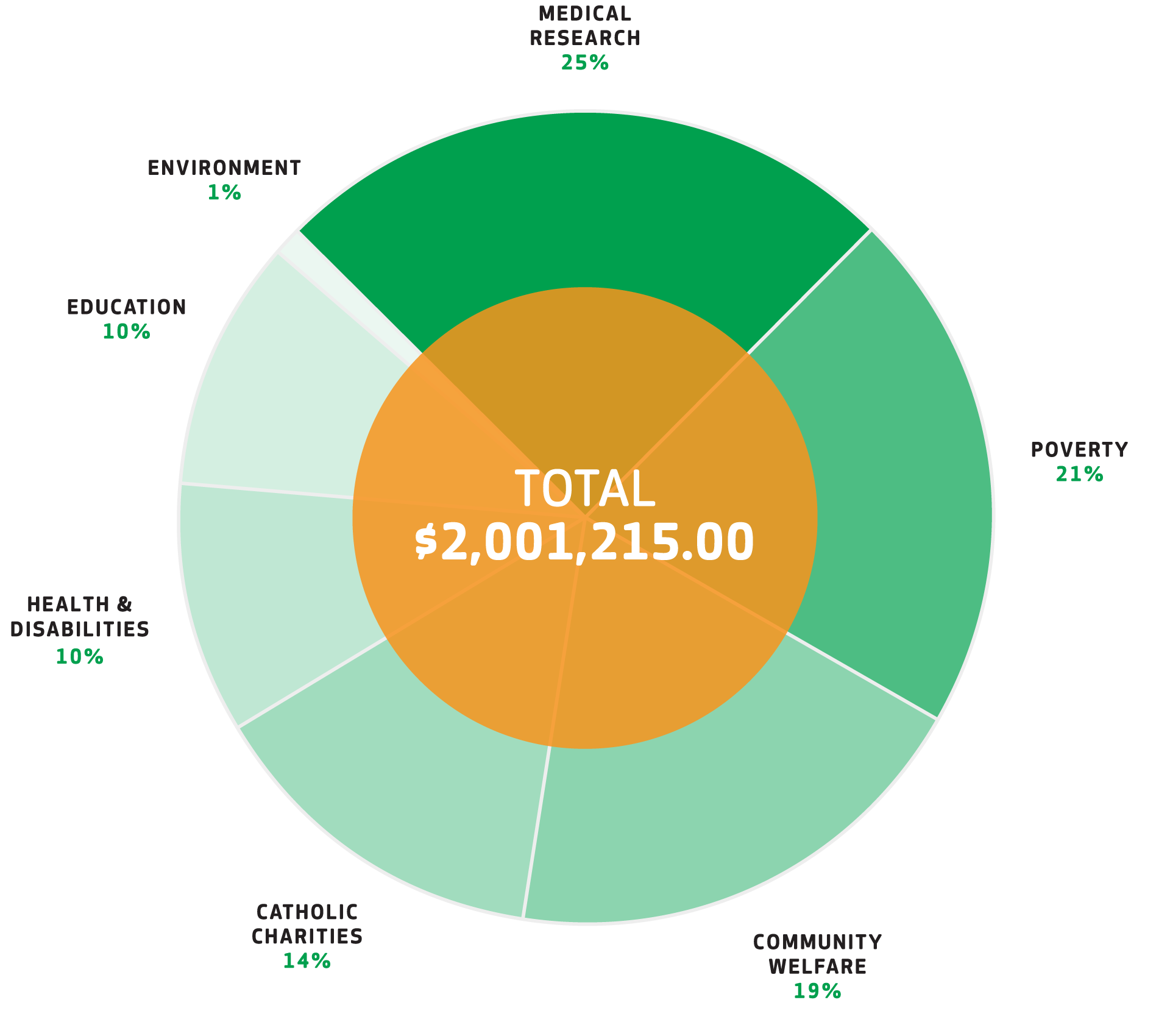 Donations Graph 2020-2021